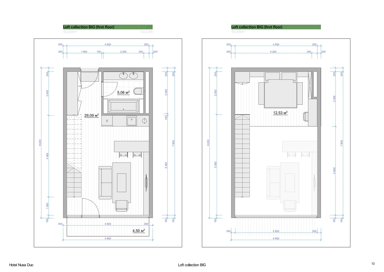 Satori Loft Collection Big 46.68 square metre two-floor plan preview