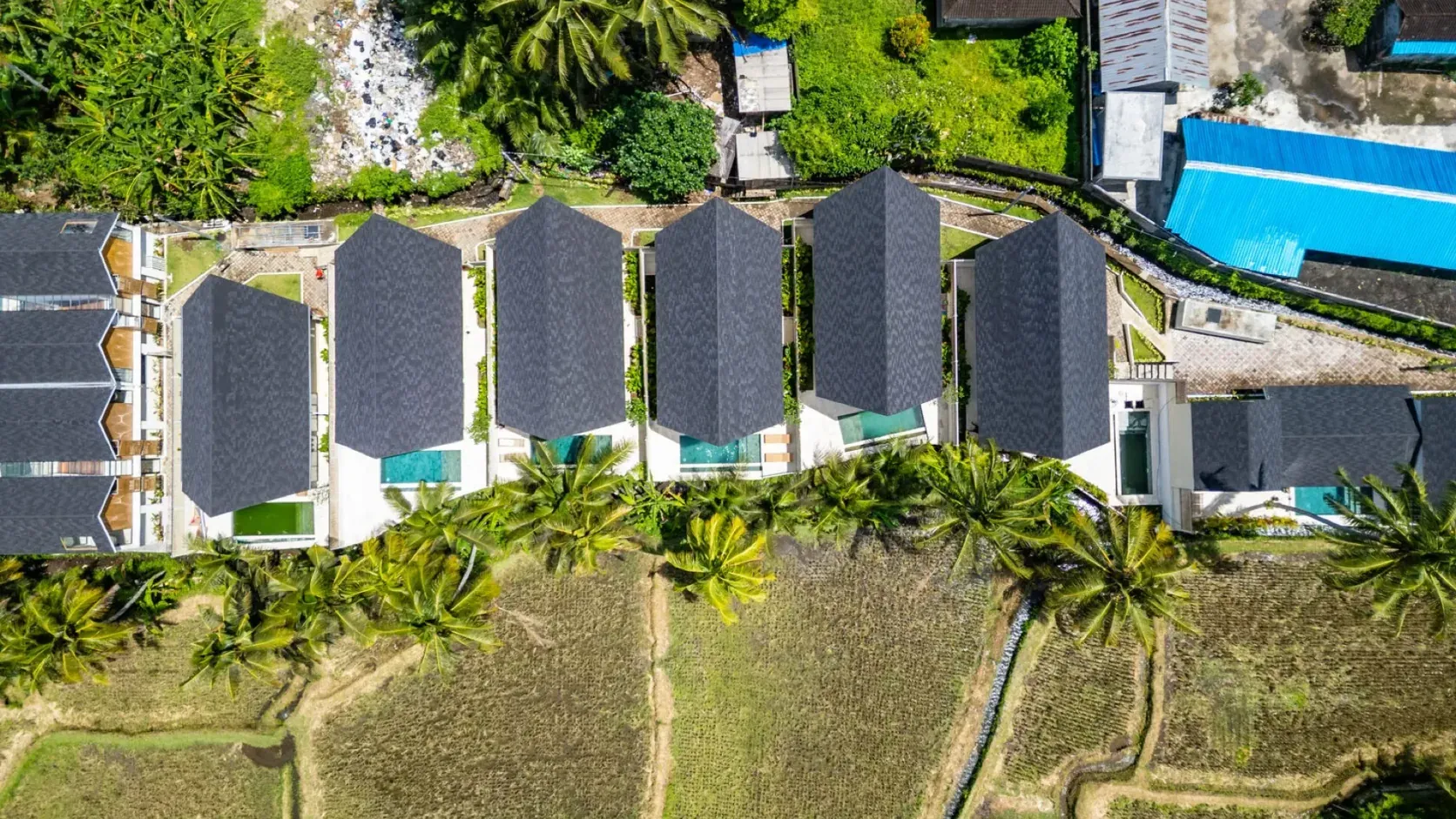 Top-down drone view of a row of villas with private pools bordering rice paddies in Ubud, the individual plots and their boundaries clearly visible